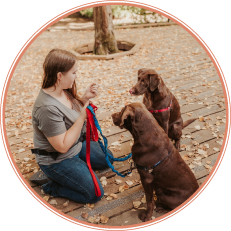 Pet Care Services Page | Dog Walking Services